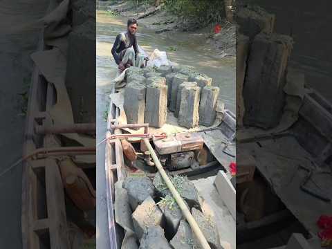 অবিশ্বাস্য হলেও ঘটনাটি সত্য #shorts #viralvideo #shortvideo