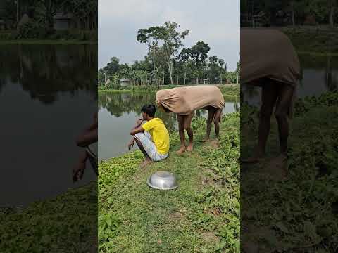 The cow came from behind, overturned the pot and left.79