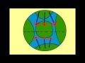 Exploring Climate Change: Convection Currents and Wind Patterns