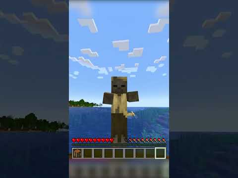 MINECRAFT, Dar Abonatii Decid Ce Sunt...