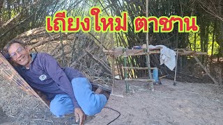 เถียงใหม่ ตาชาน