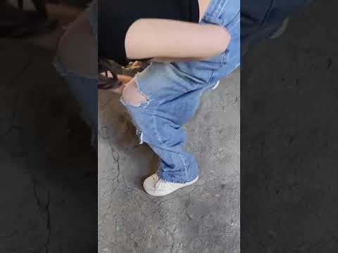 Con chuột hamster tự nhiên chui vào ống quần