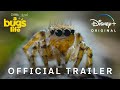 Exploring the World of Bugs