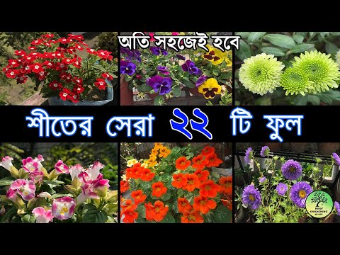 অতিসহজে করার মত শীতের সেরা ২২টি ফুল / 22 Easy Winter Flowers / roof gardening