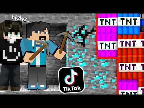 Aku Diem Diem PRANK Temen ku Pake Minecraft Hack di TikTok...