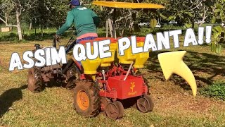Plantando milho no Tobata
