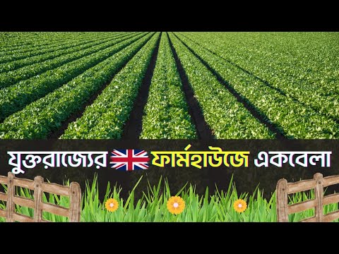 লন্ডনে ফার্মহাউজে একচক্কর | UK🇬🇧 Vlog | যুক্তরাজ্যে ফলের বাগানে একদিন | UK Farmhouse Vlog | eGaLTube