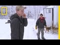 Sled Dog Racing Insights