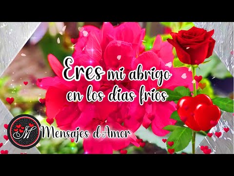 El Poder de un Te Quiero ❤️Mensajes que Transforman Relaciones UN BONITO POEMA PARA TI AMOR