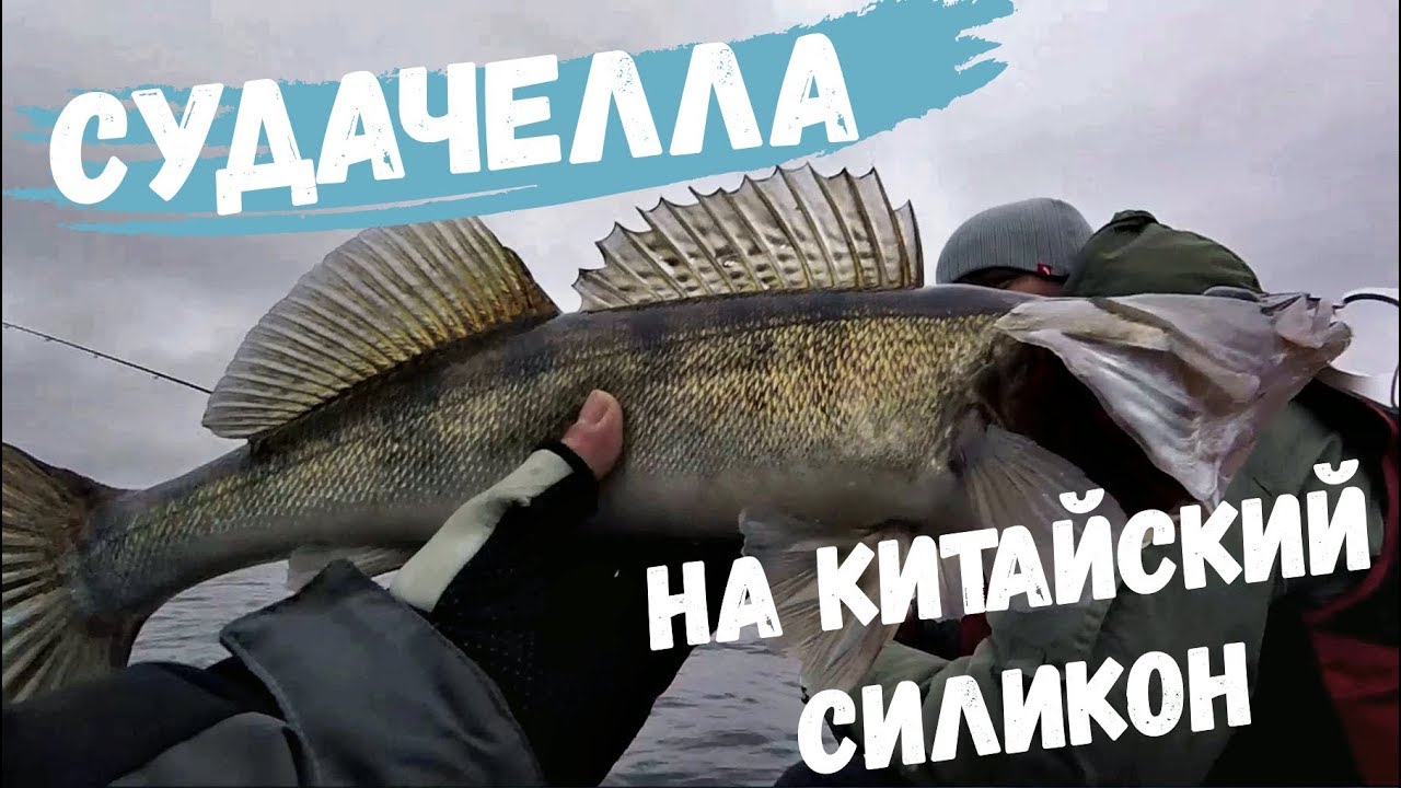 Судак на китайский силикон - Рыбалка на судака