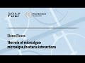 Algal Biomass and Wastewater Treatment