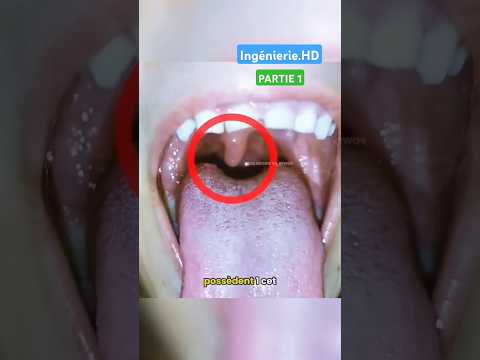 #ingénierie #structure #shortvideo #shorts #chimie #dentist #bouche #mouth #visage #organe #body