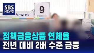 정책금융상품 연체율, 전년 대비 2배 수준 급등 / SBS