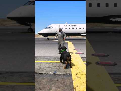 GTA 5: DOG TEACH US LOVE IN ITS PUREST FORM 🥺😘💔  #shorts #gta5 #shortsfeed