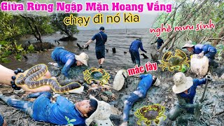 NGHỀ MẠO HIỂM lăn lê bò lết ra tới cửa biển kím tiền triệu mỗi ngày