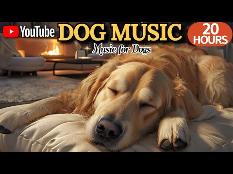 강아지가 좋아하는 음악💖🎵강아지 수면 음악 24시간🐶💖강아지 분리불안 해소 음악🎵💖집에 혼자있는 반려견의 스트레스 해소음악🐶💖출근할때 외출할때 틀어주세요 by 힐링메이트