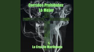 Espejo de Cantina
