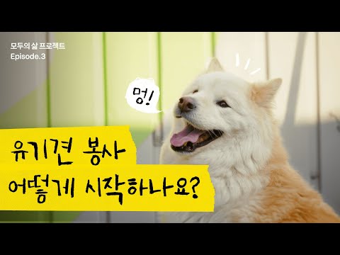 유기견 봉사를 시작하는 가장 쉬운 방법 🐶 ft. 카카오톡 오픈채팅 🤳ㅣ모두의 삶 프로젝트 [시즌 1] EP.3