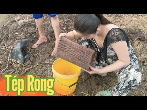 Cô Gái Quê cùng Ba ra ao sen thăm lọp tép