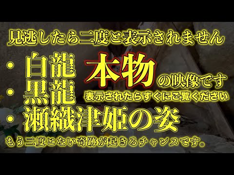 ※瀬織津姫様の奇跡が起きた聖域※縁のない人は見れません。白龍・黒龍・瀬織津姫の姿をみた人は今後かなりの強運になるでしょう。 恐ろしいほど開運する不思議な映像　瀬織津姫神社 まさに奇跡神の聖域