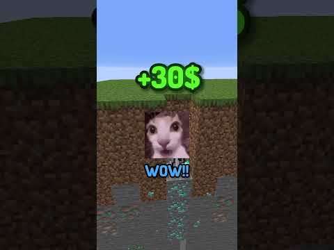 10$ por bloque #shorts #minecraft
