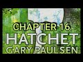 Exploring Hatchet Chapter 16