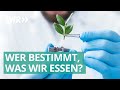Saatgut und Sortenerhaltung