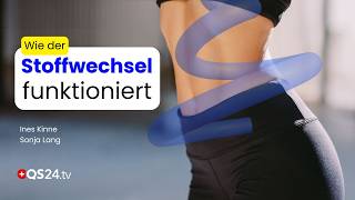 Stoffwechsel verstehen: Wie Vitalstoffe, Entgiftung und Energie zusammenhängen | QS24