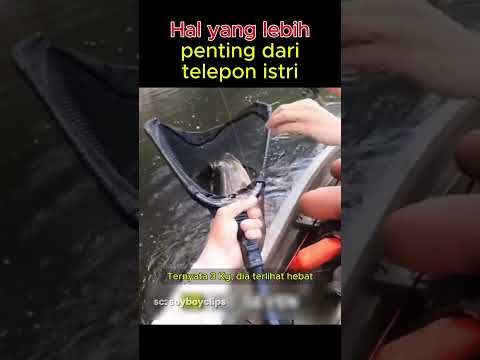 Hal yang lebih penting dari telepon istri