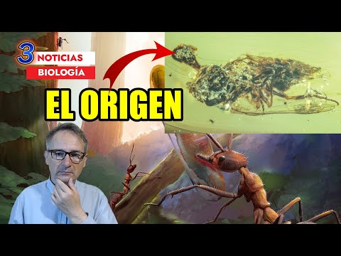 Descubren el origen del HONGO ZOMBI que inspiró The Last of Us | Y más noticias