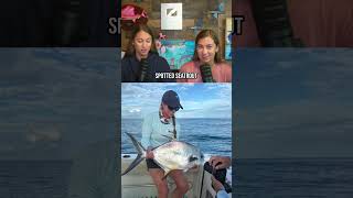 Every Fish We've Ever Caught in FLORIDA
