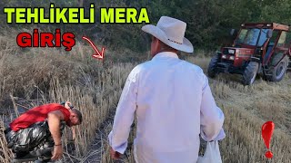 TEHLİKELİ MERAYA GİRDİK..SUYU YILANLAR BASMIŞ..BİR KIVILCIM YETER