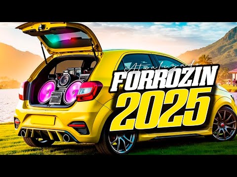PISADA DI MULEKE 2025 REPERTÓRIO ATUALIZADO DE JULHO - SELEÇÃO DE PISEIRO AS MELHORES PISADINHA 2025
