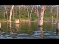 Freshwater Fishing Knowledge Assessment