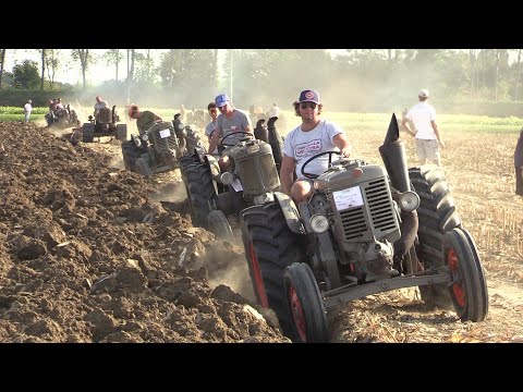 Gara di aratura 2°Raduno Landini L25, L30, 35/8 | Hot bulb tractors plowing race