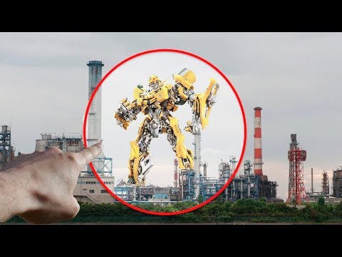 5 Bumblebees Transformers REALES Captados en Cámara
