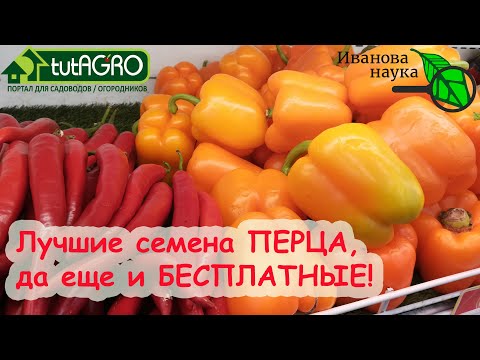Мнение эксперта: получите отличные семена перца бесплатно! И будьте сами себе селекционером