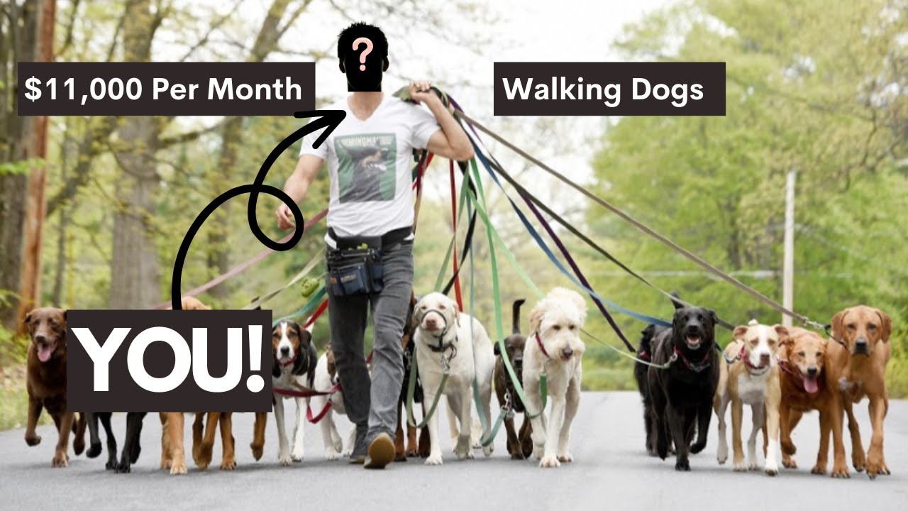 How to Start a Dog Walker Business: Unleashing Your Entrepreneurial Spirit 2024