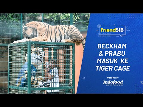 Beckham & Prabu Masuk ke TIGER CAGE | FriendSIB - Alshad Ahmad (Part 2)