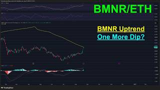 BMNR Starts Uptrend But Is There One more Dip? | Portfolio Update