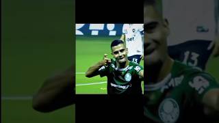 #fy #capcut #fyp #palmeiras #viral #avante #edit #video