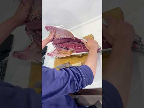 釣ったブリの身から…【北海道積丹産・魚の捌き方】