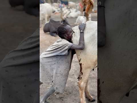 Tribu Mundari #inspirationofafrica