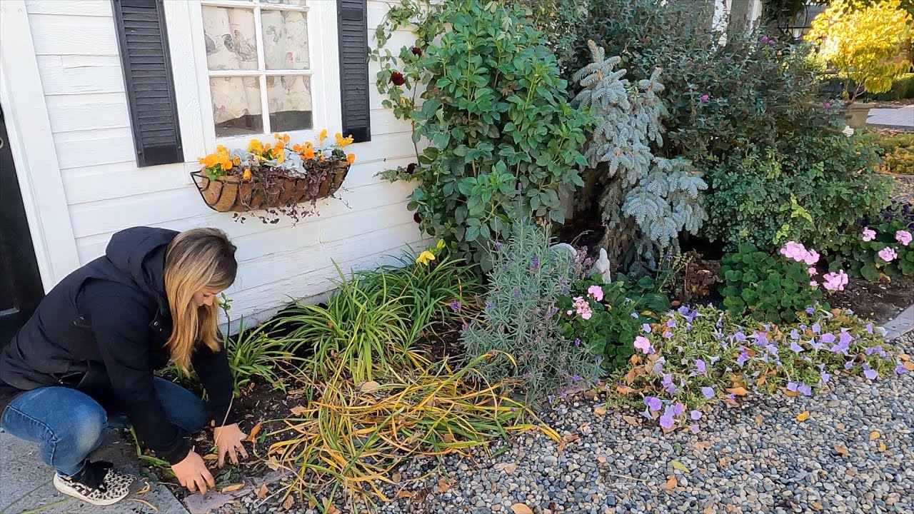 Chicken Coop Flower Bed Maintenance: Pruning, Transplanting & Fall Plants!
