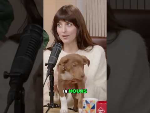 Dakota Johnson Didn’t Plan to Rescue This Dog