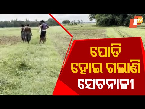 Multi‑crore irrigation canals in Mahanga have collapsed—farmers can’t even locate water channels
