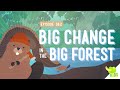 Environmental Changes by Humans and Animals
