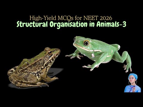 High-Yield MCQs for NEET 2026 | Structural Organisation in Animals-3 | by Shiksha House