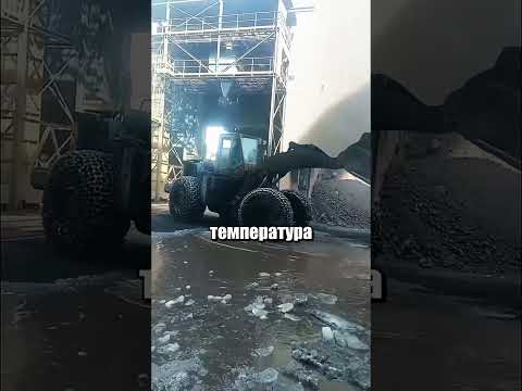 А вы бы согласились на такую работу?