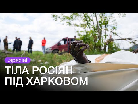 «Вони нікому не потрібні» - хто і навіщо збирає тіла російських військових | hromadske